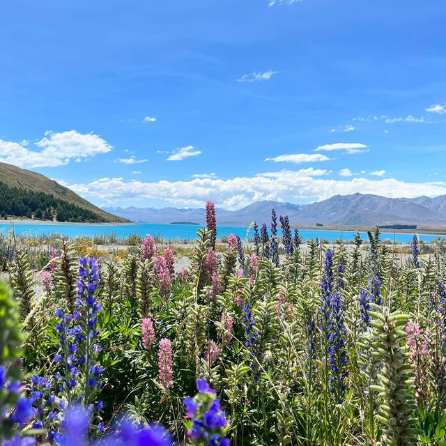 Turquoise Dreams at Lake Tekapo Turquoise Dreams at Lake Tekapo