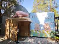 🌲落羽松秘境中的蔬食饗宴#🌿 澄石享自在-臺中市北屯區