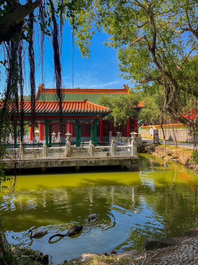 주해 여행에서 꼭 가야할 곳⭐️ 주해 여행에서 꼭 가야할 곳⭐️