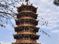 被七寶古鎮狠狠拿捏的一天