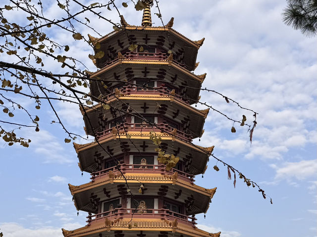 被七寶古鎮狠狠拿捏的一天