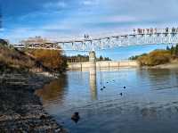 Lake Tekapo: Alpine Serenity