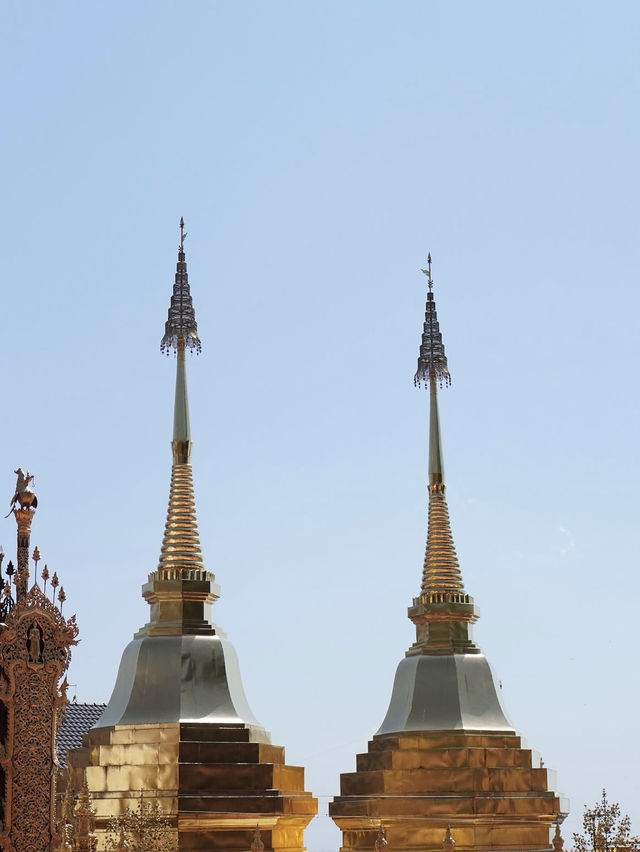 ดอยตุง จ.เชียงราย ดอยตุง จ.เชียงราย