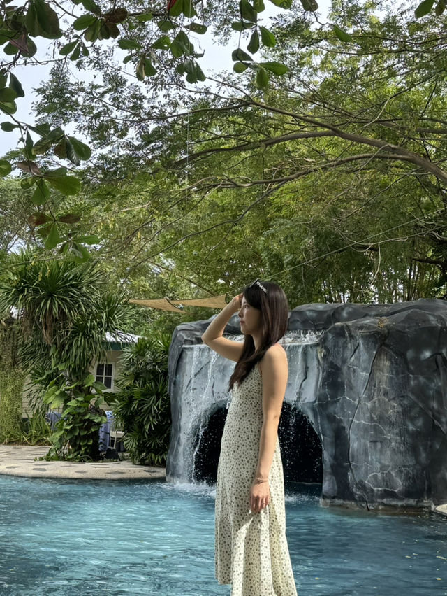 겨울엔 동남아로! 세부여행✈️