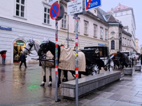 VIENNA CITY CENTER — TIMELESS BEAUTY IN EVERY CORNER 🇦🇹✨