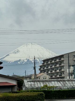 横浜、箱根、富士山、御殿場の4つの人気スポットを中心にした旅程