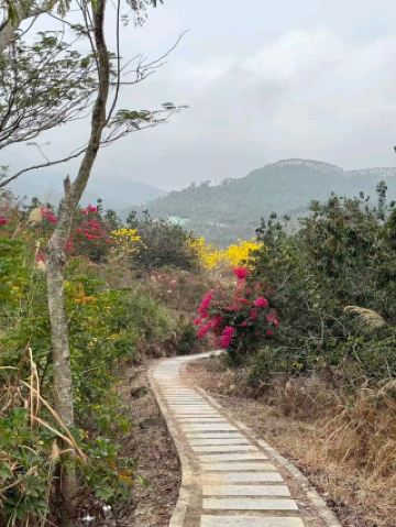 Hiking in the mountains surrounded by the sea of ​​flowers in Longtan, Xiangshui, Enping