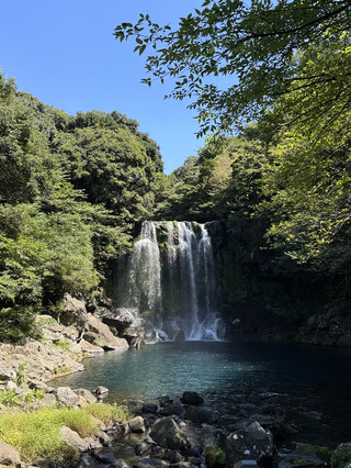 제주도에서 이 명소를 절대 놓치지 마세요! 🏝️