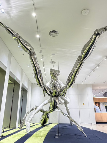 Introduction to the MixC World Shenzhen Giant Exhibition: | Trip