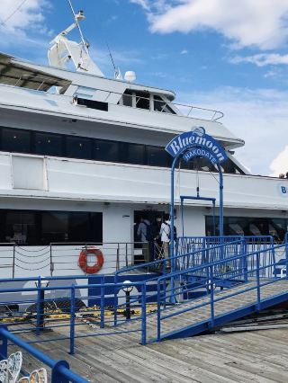 Hakodate from the Water: See the City in a Whole New Way on the Blue Moon Bay Mini-Cruise