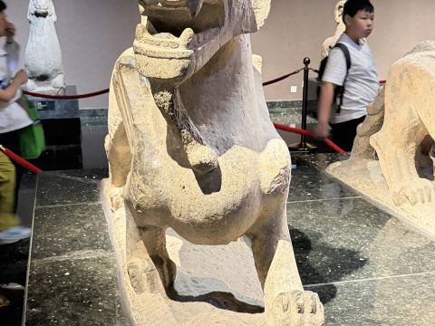 洛陽博物館 - 石蕪丙 | 千年を生き抜いた守護獣 | Trip.com 洛陽