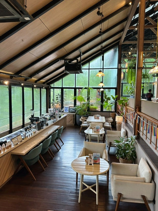 Baboon Phuket: A Great Vibe Forest Cafe in Hanuman.
