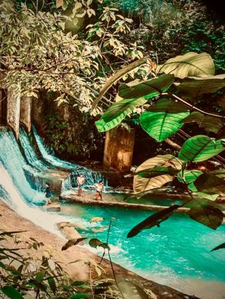 Grenada Grand Etang Lake Mossy Crater Forest Traileasytravelpost