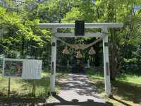 小樽天狗山：「天狗神社」祕境打卡＋360度極致美景🚡🏔️