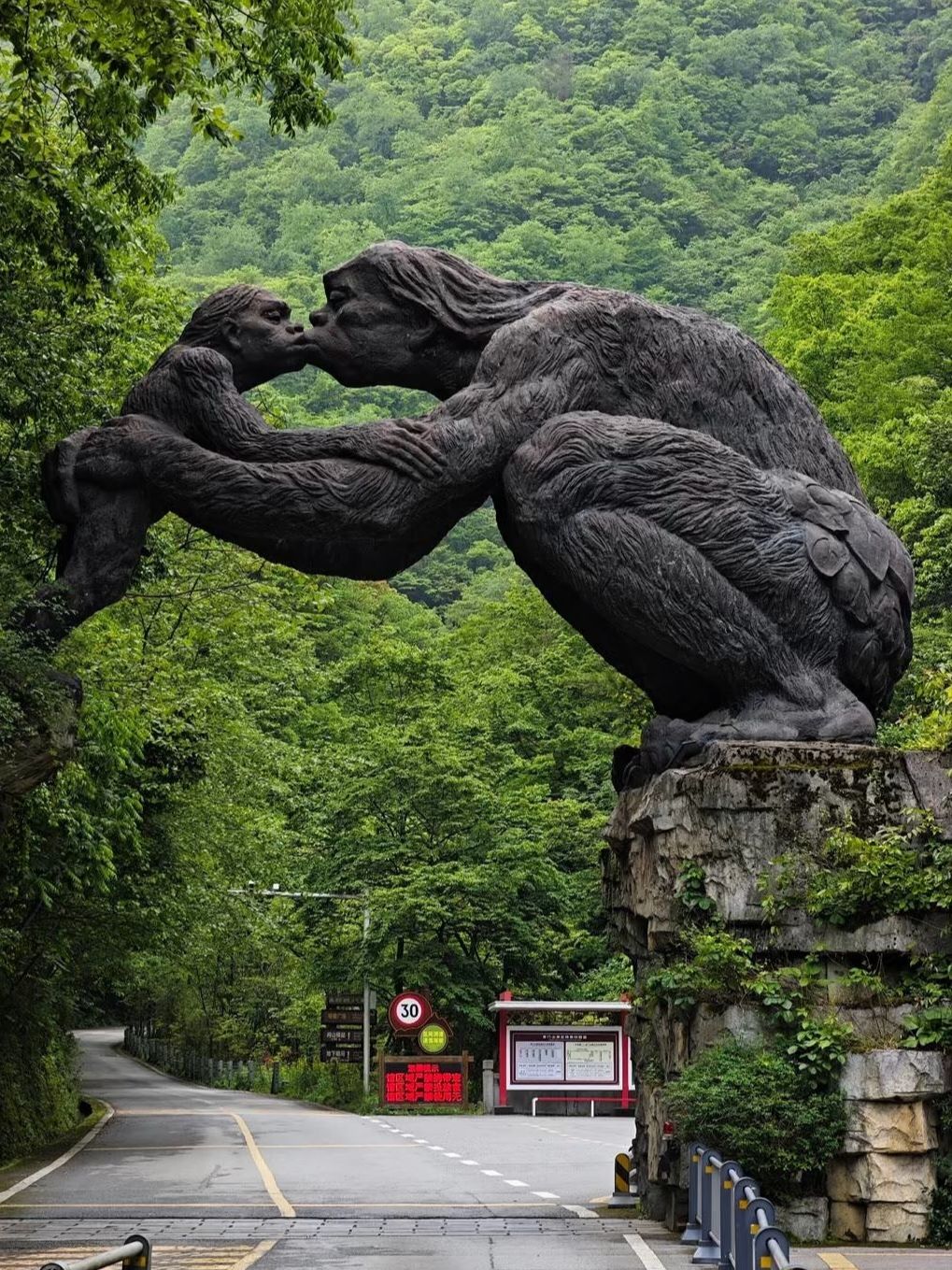 Returning to Shennongjia