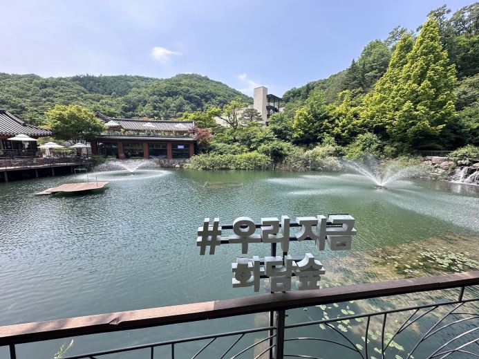 Nature Escape in Seoul ⛰️Vibrant Forest Haven: My Day at Hwadam Forest!