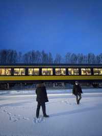 Aurora Winter Train. 