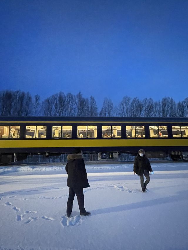 Aurora Winter Train. 