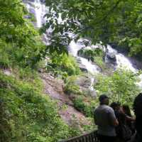 Don't Go Chasing Amicalola Falls 