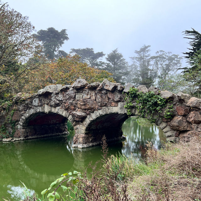 Lovely Scenery in Golden Gate Park