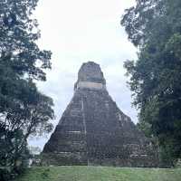A memorable Mayan civilization and jungle experience at Tikal @ Guatemala 