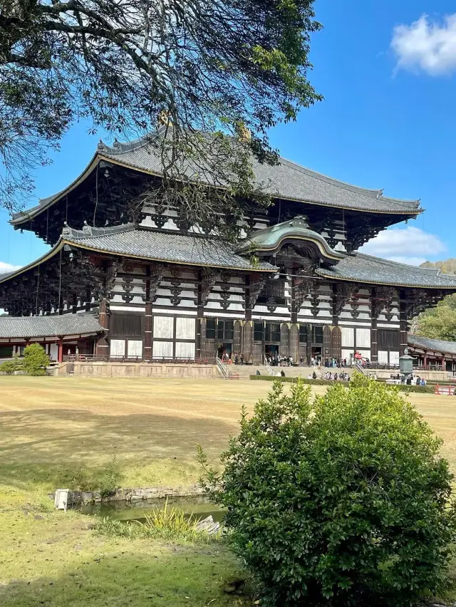 東大寺