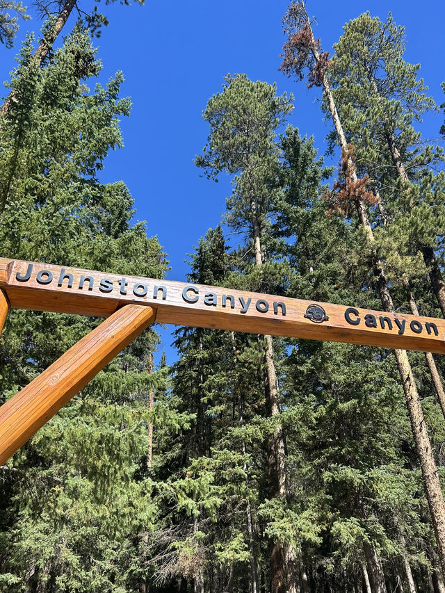 🇨🇦バンフの人気トレイル🏞️【ジョンストンキャニオン】で滝と渓谷を満喫
