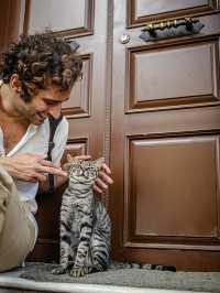 Istanbul Cats Rule the City: 5 Furry Facts You’ll Love 😻