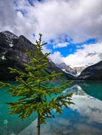 Chasing Glaciers and Dreams: My Unforgettable Lake Louise Adventure
