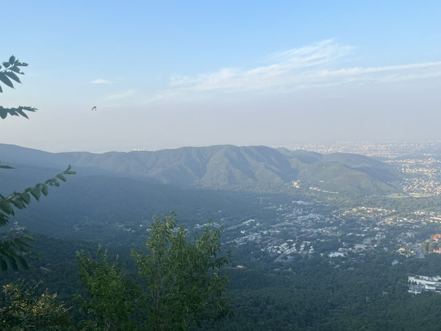 Fragrant hills