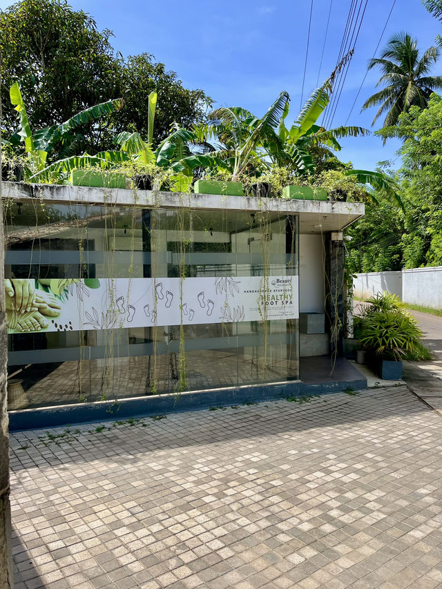 Lovely stay in Mirissa🌿