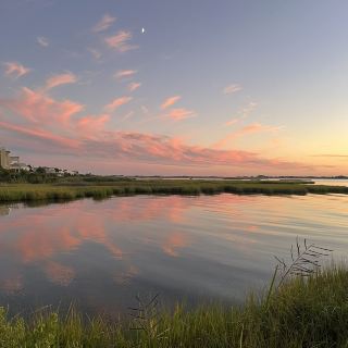 Get Wild at Assateague Island: Beaches, Horses & Epic Views 🐎🌊