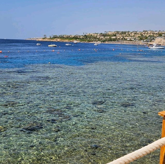 Aswan, Abu Simbel, Sharm-El-Sheikh