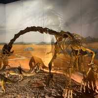 National Museum Cardiff