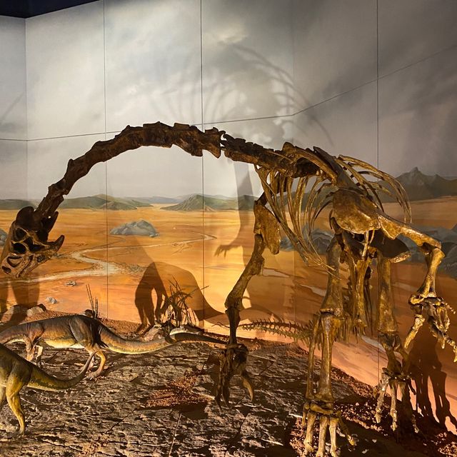 National Museum Cardiff