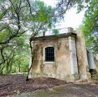 From Royal Hunting ground to a public park