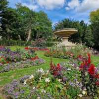 🌺🏰 Explore the Majestic Royal Victoria Park in Bath! 🚶‍♀️🌳


