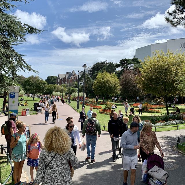 🇬🇧Enchanting Bournemouth Blooms!🏖️