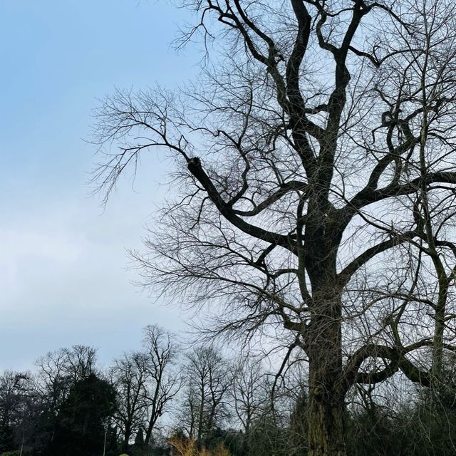 City park in Leicester : Abbey Park 🌳