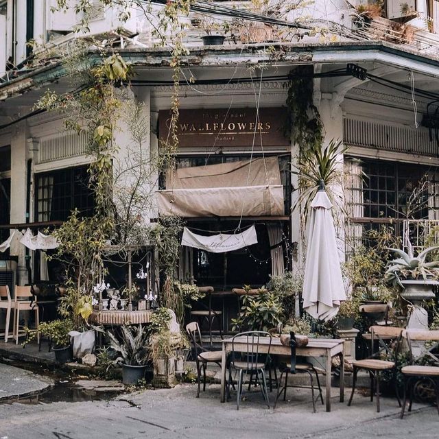 Photogenic Cafe