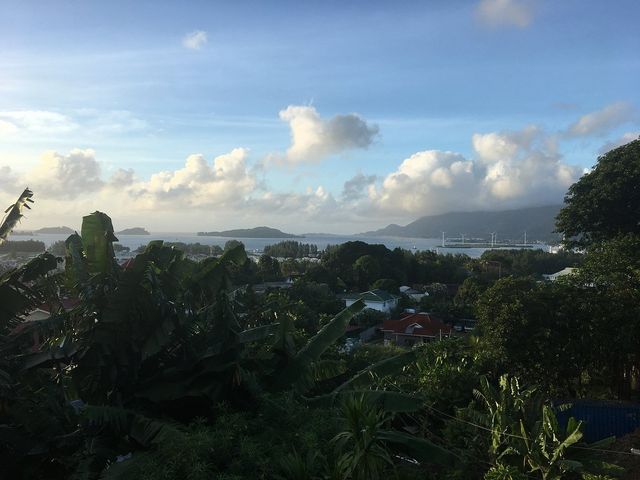 Savoring Serenity in Seychelles 🏝️