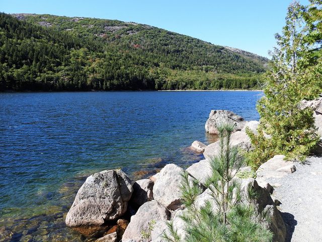 Hidden Gem in Coastal Maine