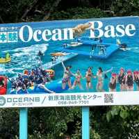 🎣新原沙灘🏖超秘境的海灘🌊海水超級乾淨