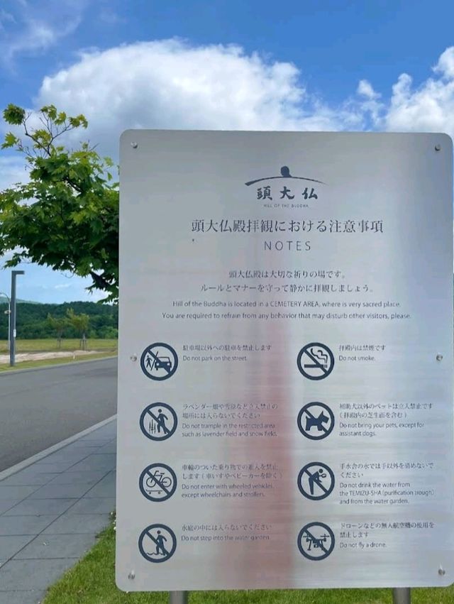 🧧頭大佛殿🧧日本最大的陵園