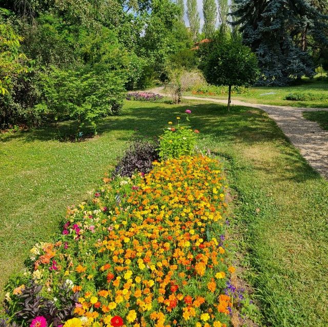 Oasis in the city 