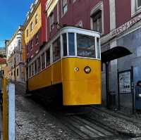 I love trams 🗺️