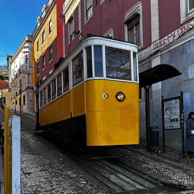 I love trams 🗺️