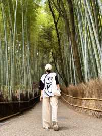 Arashiyama Bamboo Forest: A Serene Escape in Kyoto 🎋