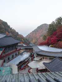 충북 단양 구인사 🍁