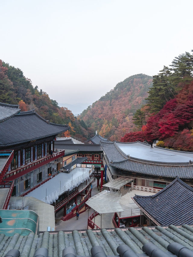 충북 단양 구인사 🍁